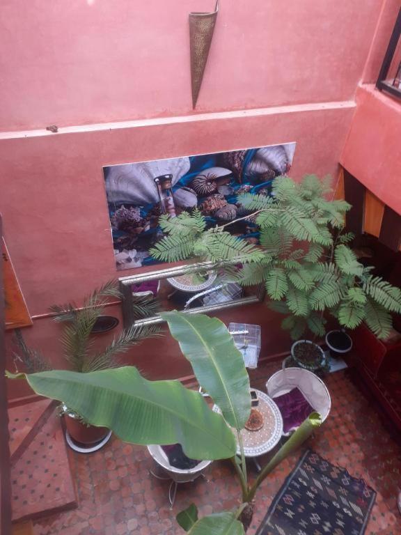 Riad Hanafi Marrakesh Ngoại thất bức ảnh
